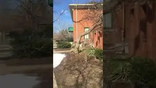 Pearson Park Old Museum