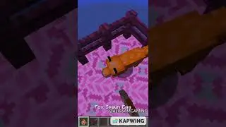 Minecraft Polar Bear IQ Test! 😂 #Shorts
