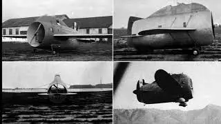 Stipa-caproni  Летающие творение.