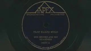 1944 DON MESSER Flop Eared Mule (Donkey Reel) FIDDLE Instrumental - 78 RPM Record