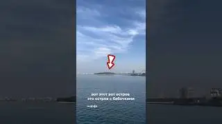 Почему мы не пошли на остров с бабочками в Шардже