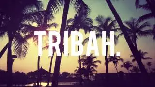 Tours - Near Me