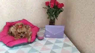 РАСПАКОВКА GLAMBAG