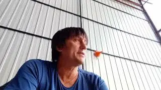 бой с джигитами