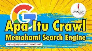 Apa Itu Crawl Pada Search Engine
