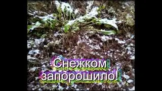 Октябрь -  а у нас снег!