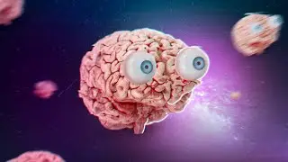 Você é um Cérebro de Boltzmann?