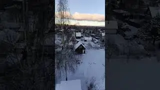 спилил берёзку частями. зима -7.