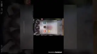 дождь из куриц