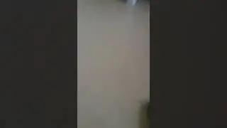 i made a fingerboard  and tried some tricks