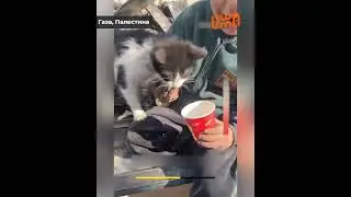 Дети в Газе с сердцами, полными любви