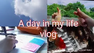 a day in my life | 2nd year college student| studigraphy