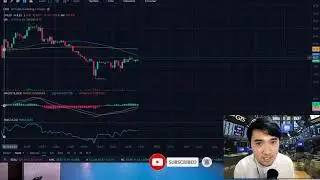 Live - Stock Market Watch - $TIGR! What happened man?