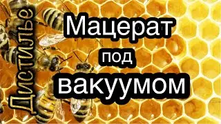 Медовый мацерат под вакуумом👍
