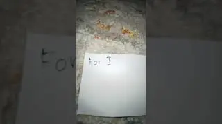 Notion on paper edit