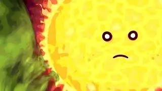 the sun fards