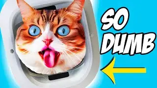 The 9 DUMBEST AI products you can actually buy