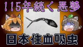 【ゆっくり解説】115年続いた地方病「日本住血吸虫」の恐怖