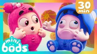 Be Patient Pogo ! | Minibods | Baby Oddbods | Kids Learn ! | Kids Cartoons