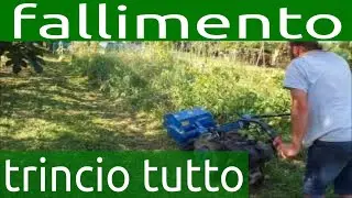 fallimento!!! trincio tutti i fagioli e reinizio una nuova avventura...