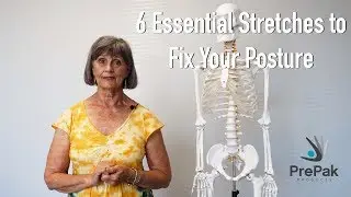 How To Improve Your Posture - PrePak Products