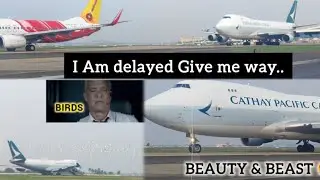 Near Miss BIRD STRIKE | Queen of Sky| Taxi to Take off | 2K #boeing747 #planespottingchennai #maa