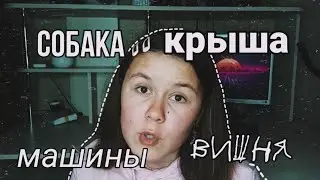 ×ИСТОРИИ ИЗ ЖИЗНИ×