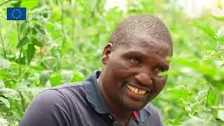 Cultivating Change: The AGRI-CONNECT Journey in Iringa and Njombe