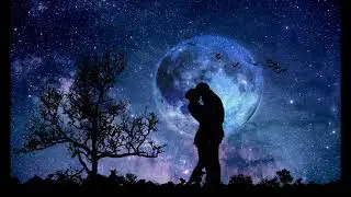 Moonlight night. Melody of love. Melody for the soul. Light melody. asmr. асмр