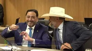 Alego News:   CCJ Alego de quinta-feira 07/11/2024-Comissão de Constituição, Justiça e Redação