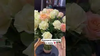 Красота ❤️ #красота #цветы #flowers #beauty #mood #счастьевмелочах #моменты #happymoments #lovestory