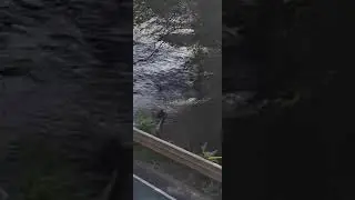 Branconieri cu plase la piatra scrisă! : Sursa Facebook: Voinea Silviu Daniel