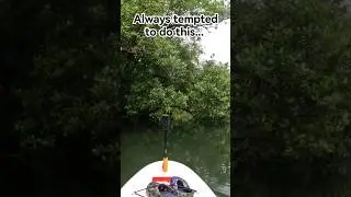 Always tempted to do this!  |SUP Singapore|
