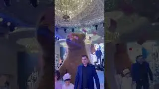 Tuyda ayiqlar tuy bola op kirishi