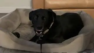 CAL