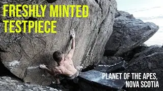 New Line on Digby Neck - Stick it to the Man (ungraded)
