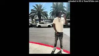 [FREE] Shawny Binladen x Sample Drill Type Beat "Perfect" (prod. illie)