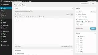How to Schedule Posts in WordPress
