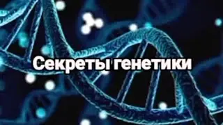 Секреты генетики🧬/Что о нас может рассказать генетика?/Кто мы? 🧐