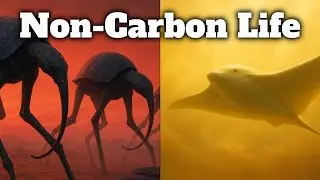 3 Types Of Non-Carbon Life