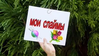 МОИ ЛИЧИНЫЕ СЛАЙМЫ! Я ВЕРНУЛАСЬ!!
