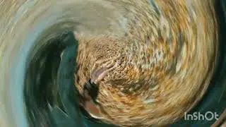 Громовы
