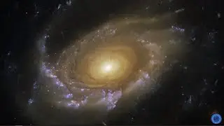 🌎 Hubble Captures Tentacles of Faraway Jellyfish Galaxy!