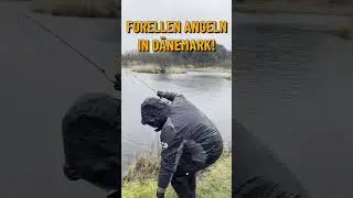 Kannst du den Forellen-Song zuende schreiben?!