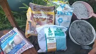 Хочешь, чтобы куры неслись? Срочно добавь это...!!