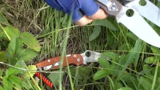 Анонс тестирования ножей