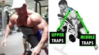 45 DEGREE INCLINE ROW SHOULDERS, TRAPEZIUS #shorts