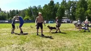 Юные борцы преодолевают себя в с/л Чемпион