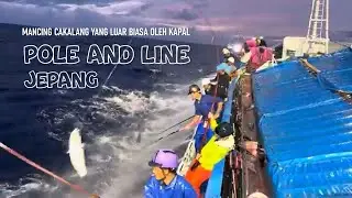 Mancing Cakalang yang luar biasa oleh kapal Pole and Line Jepang