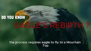 eagle's rebirth ! change for survival.